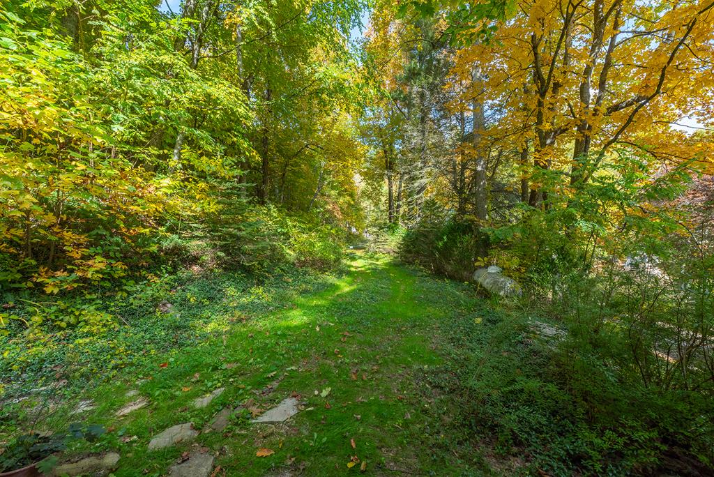 Little Swiss Cabin | Mountains Vacation Rental | Spruce Pine, NC